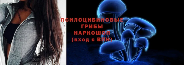 прущий лед Алзамай