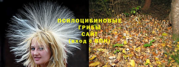 прущий лед Алзамай