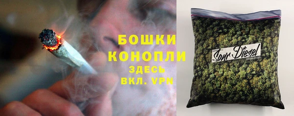 прущий лед Алзамай