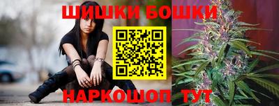 apvp Новодвинск