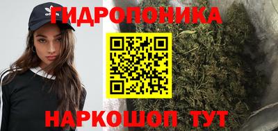 ALPHA PVP Новозыбков