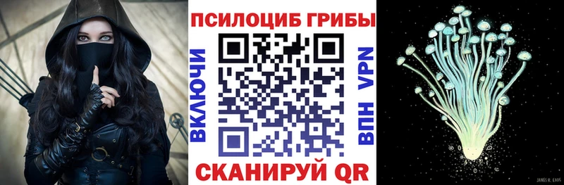купить закладку Тула hydra как зайти Галлюциногенные грибы ЛСД