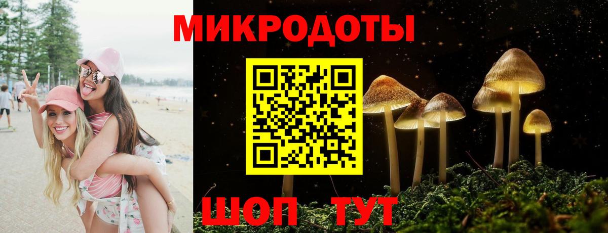 Галлюциногенные грибы прущие грибы Тула